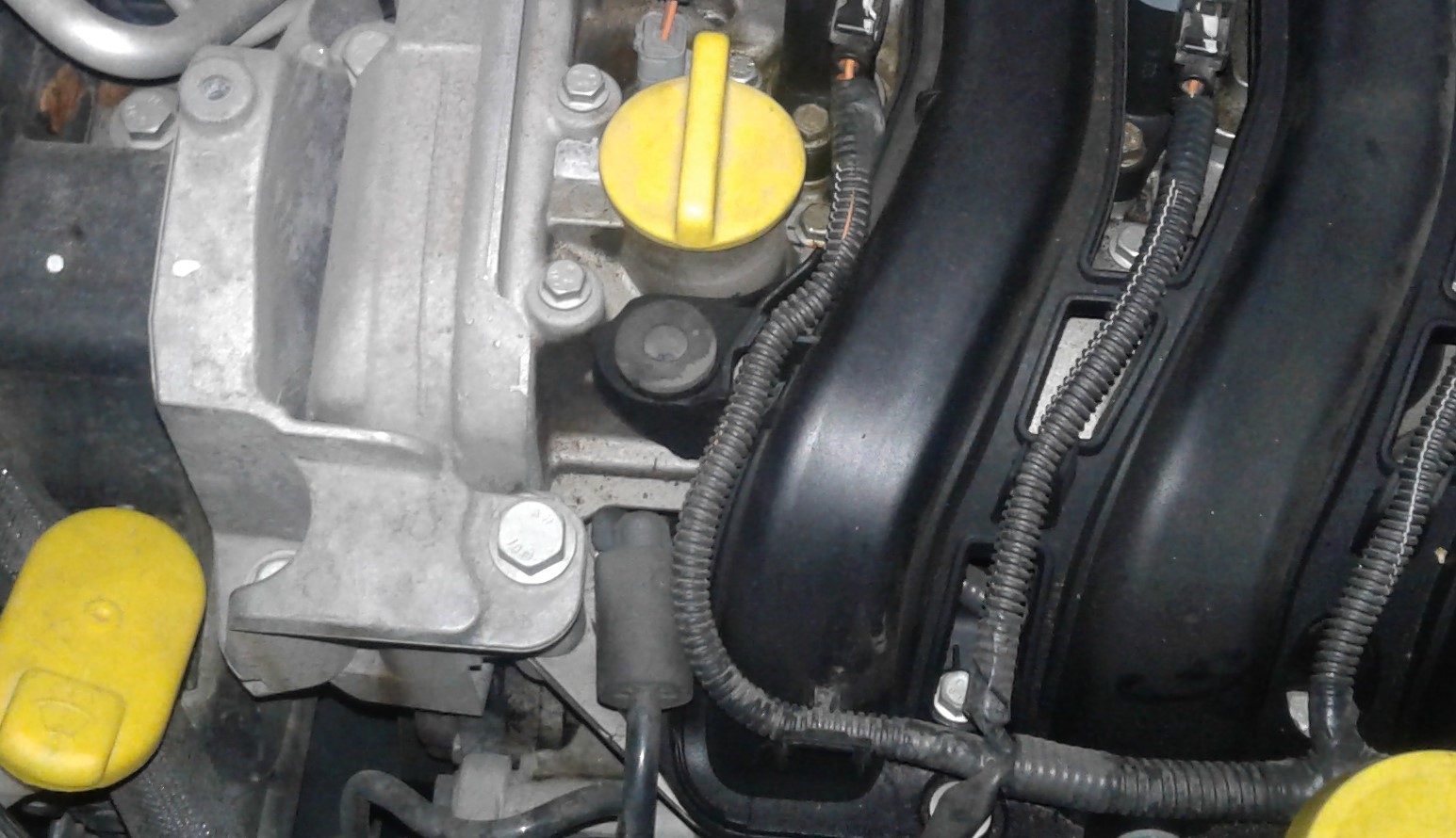 20191210_202531.jpg
